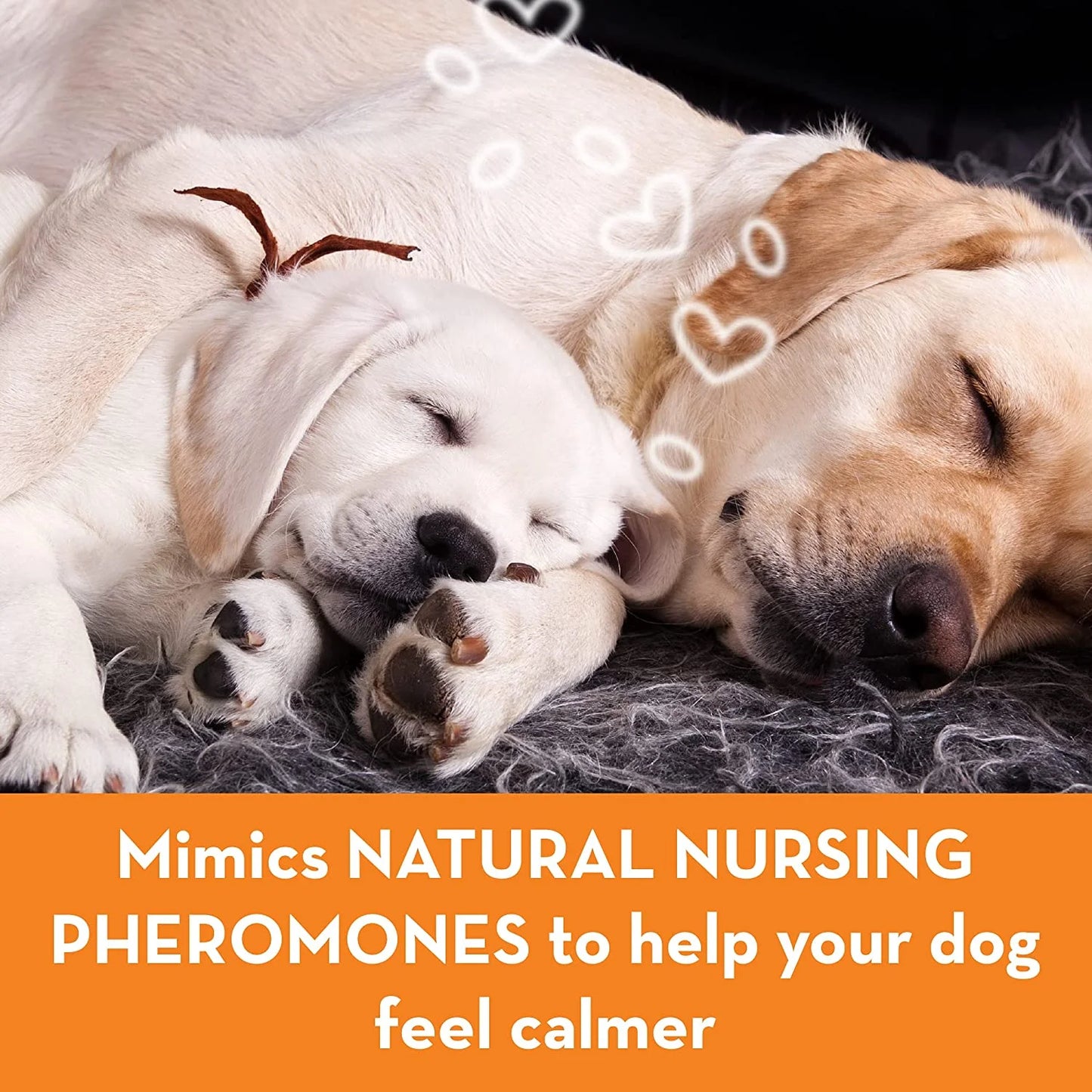 ADAPTIL Dog Calming Diffuser – Vet Recommended for Anxiety, Barking & Chewing