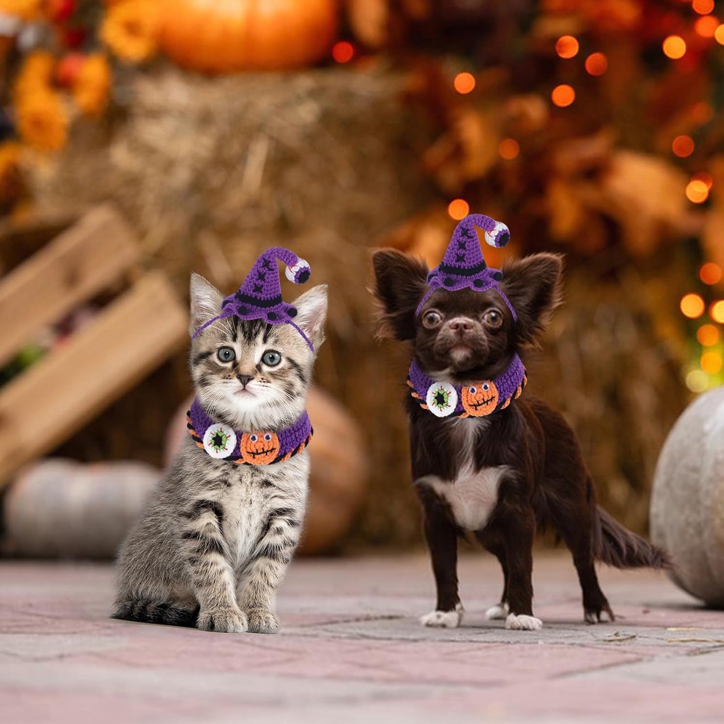 Halloween Pet Costume Set for Cats Small Dog Adjustable Knitted Hat Scarf Pumpkin & Witch Print Puppy Bib Cute Crochet Cat Collar Cap Pet Apparel Outfit (Purple-Eyes)