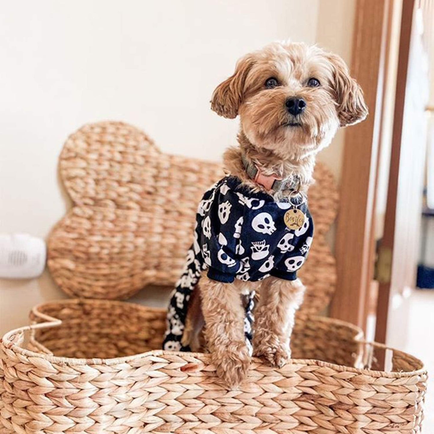 Halloween Skull Pajamas for Dogs & Cats – Cozy Skeleton Print Pet Jumpsuit