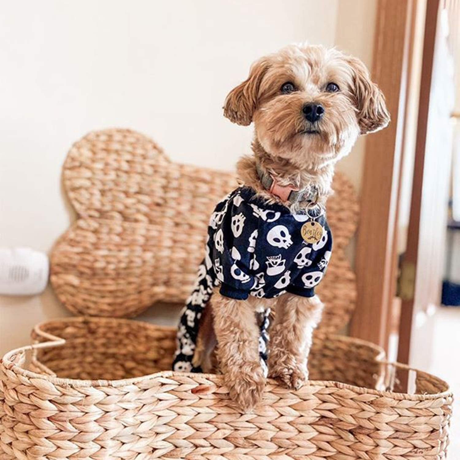 Halloween Skull Pajamas for Dogs & Cats – Cozy Skeleton Print Pet Jumpsuit