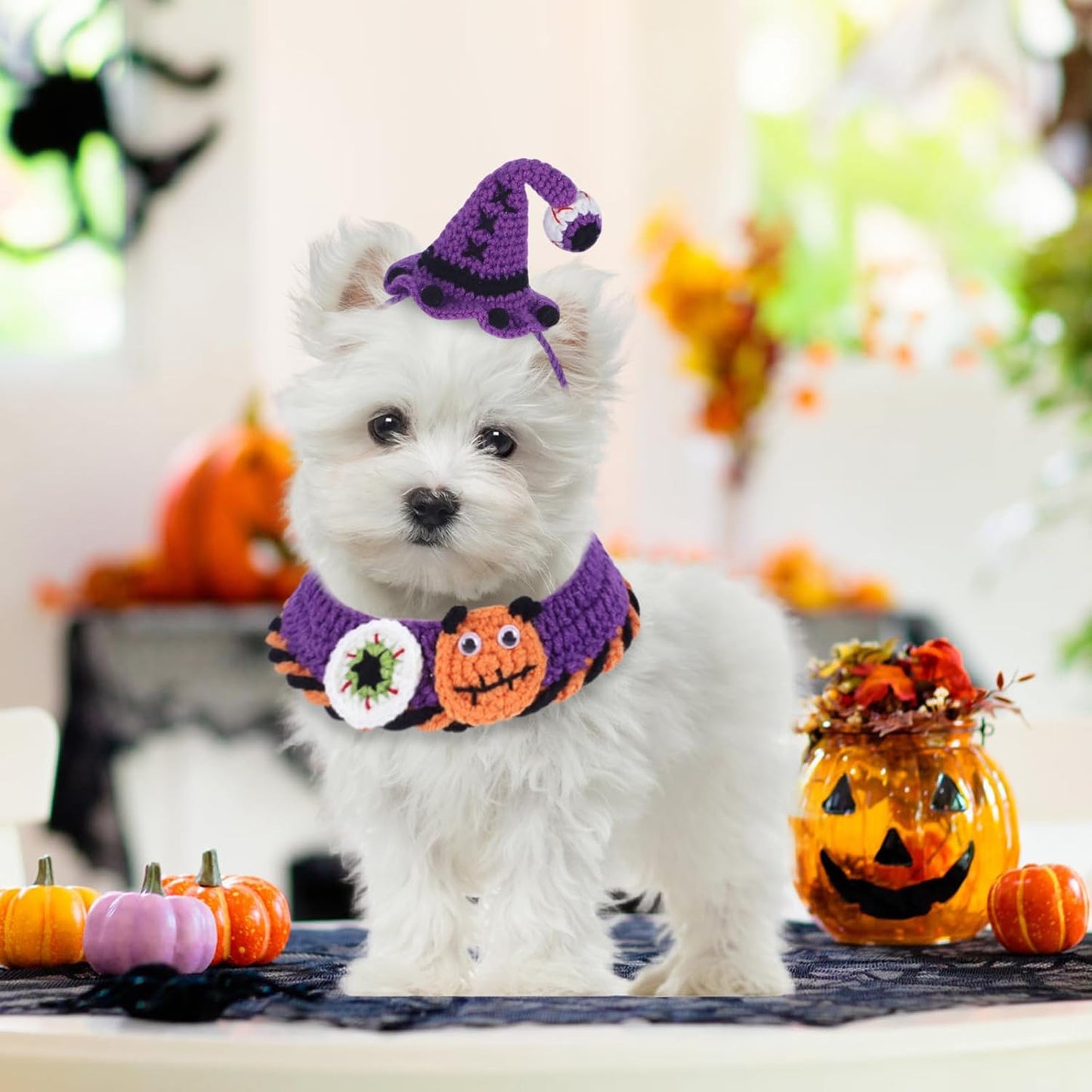 Halloween Pet Costume Set for Cats Small Dog Adjustable Knitted Hat Scarf Pumpkin & Witch Print Puppy Bib Cute Crochet Cat Collar Cap Pet Apparel Outfit (Purple-Eyes)