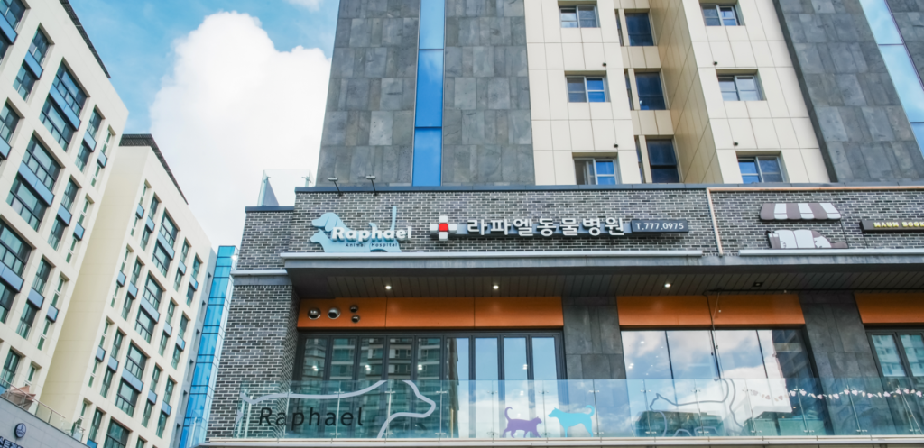 라파엘동물병원 사진 1