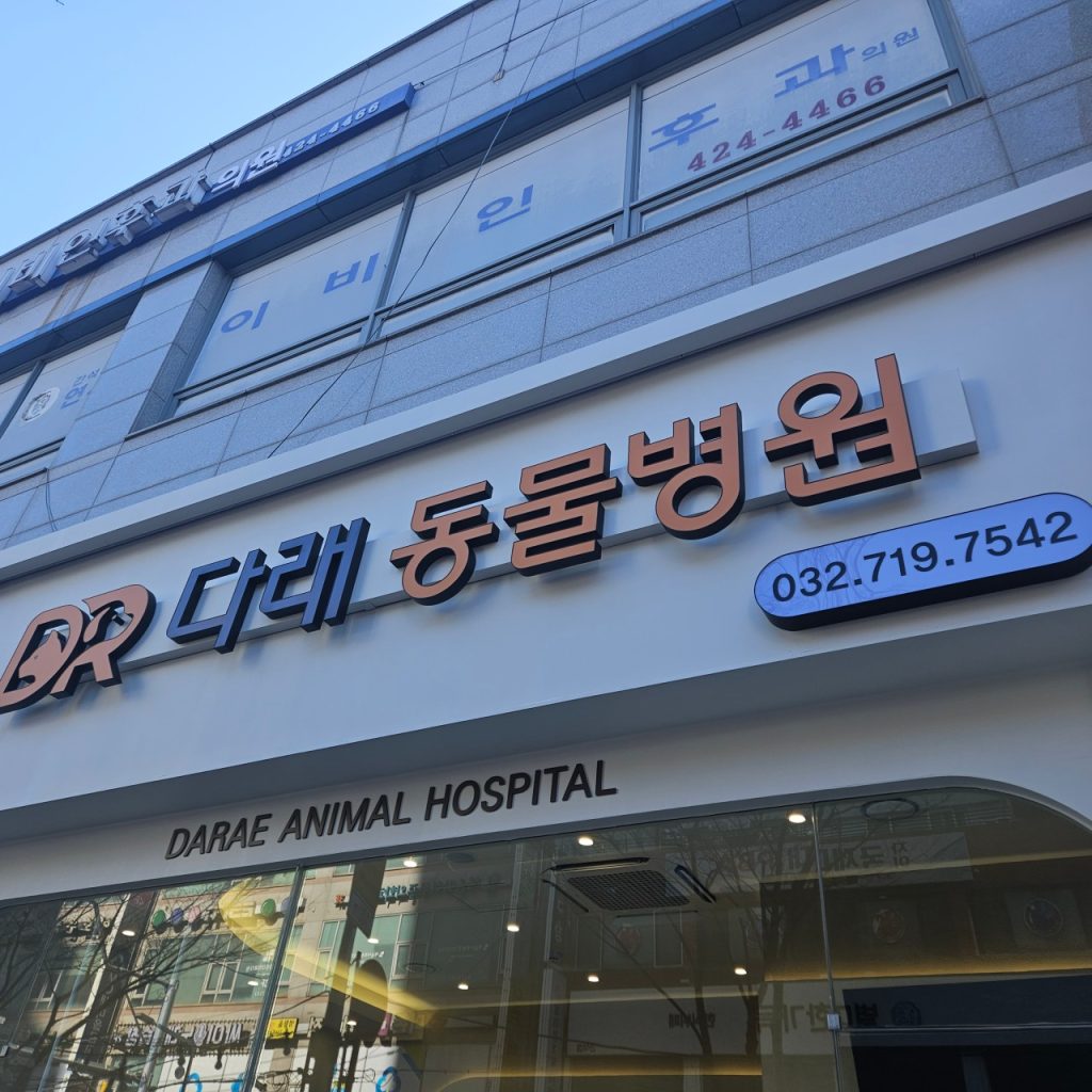 다래동물병원 사진 1