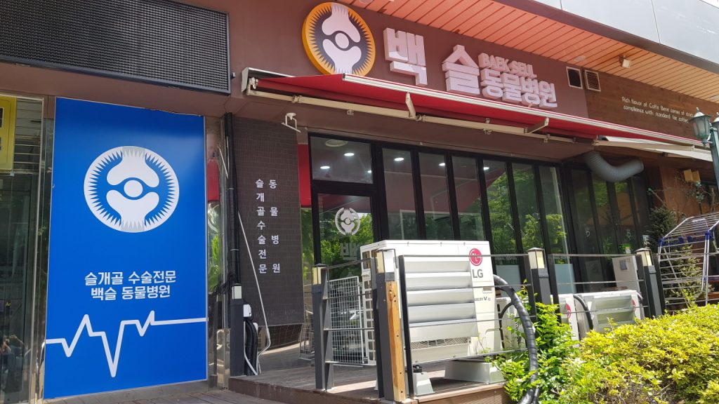 백슬동물병원 사진 1