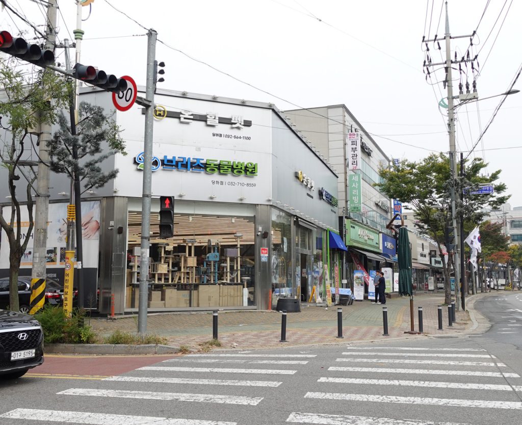 브리즈동물병원 사진 1