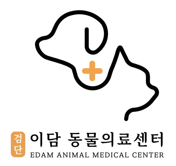 검단이담동물의료센터 사진 1