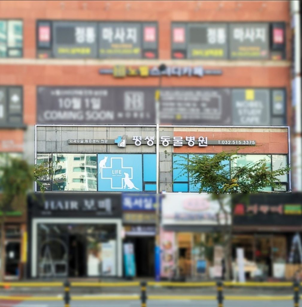 삼산 평생동물병원 사진 1