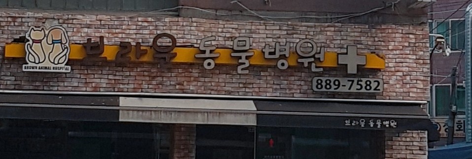 브라운동물병원 사진 1
