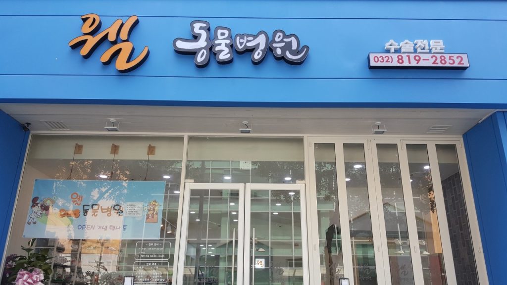 웰동물병원 사진 1