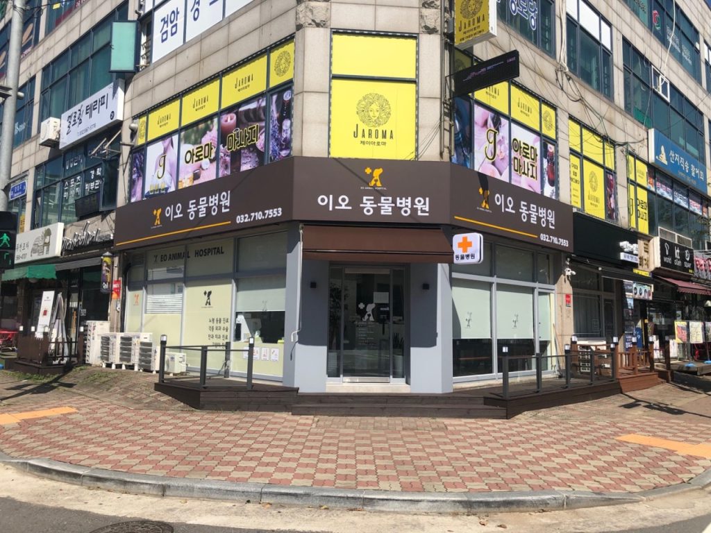 이오동물병원 사진 1