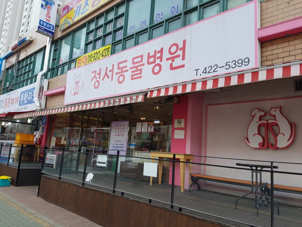 정서동물병원 사진 1