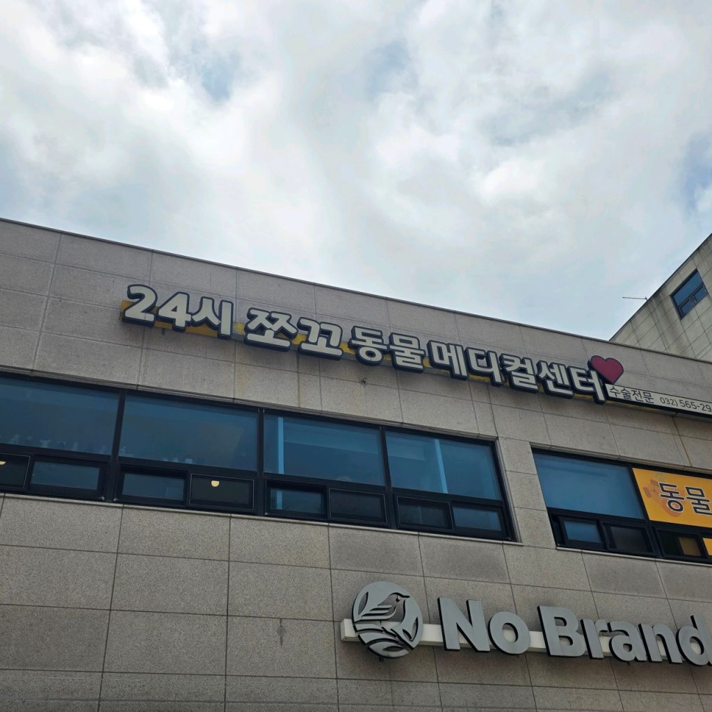 쪼꼬동물메디컬센터 사진 1