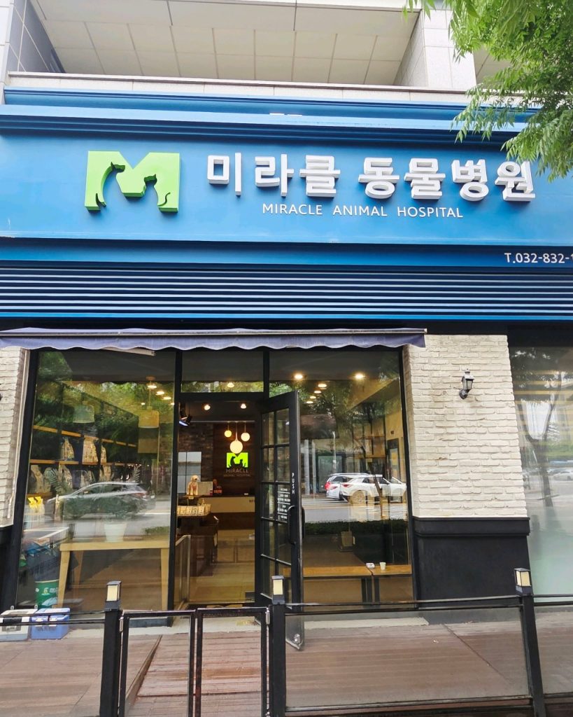 미라클 동물병원 사진 1