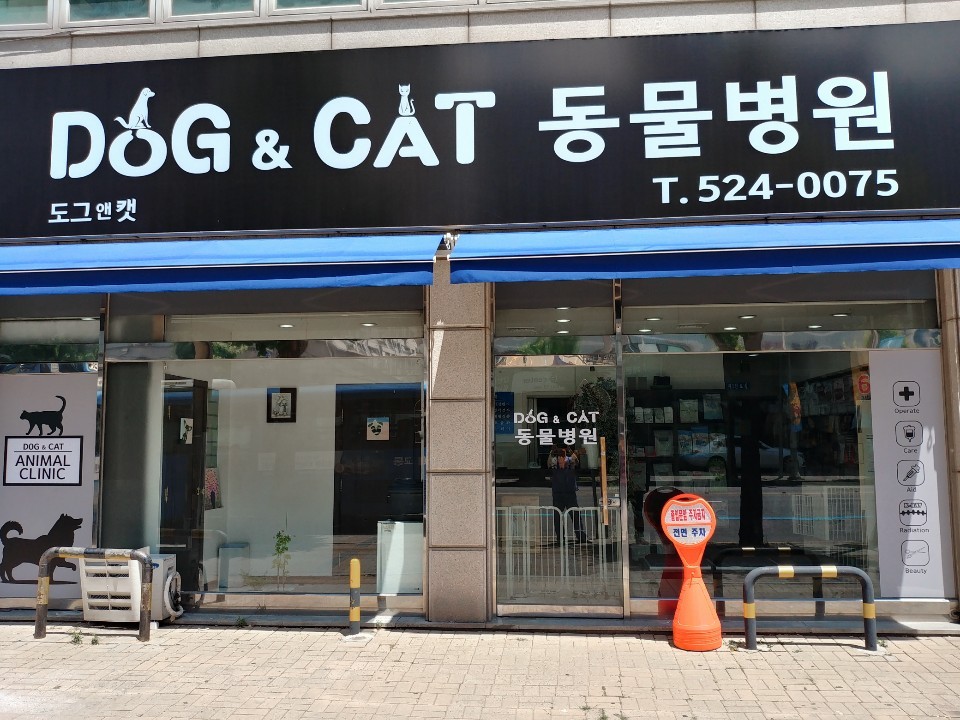 도그앤캣동물병원 사진 1