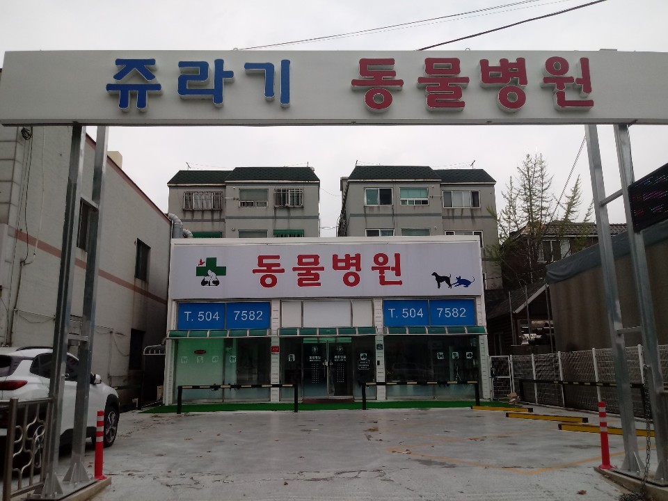쥬라기 동물종합병원 사진 1
