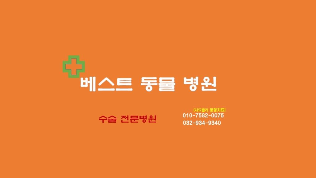 베스트동물병원 사진 1