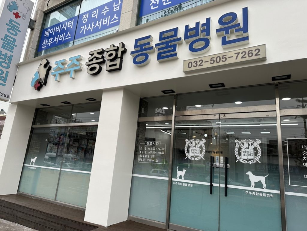 주주종합동물병원 사진 1