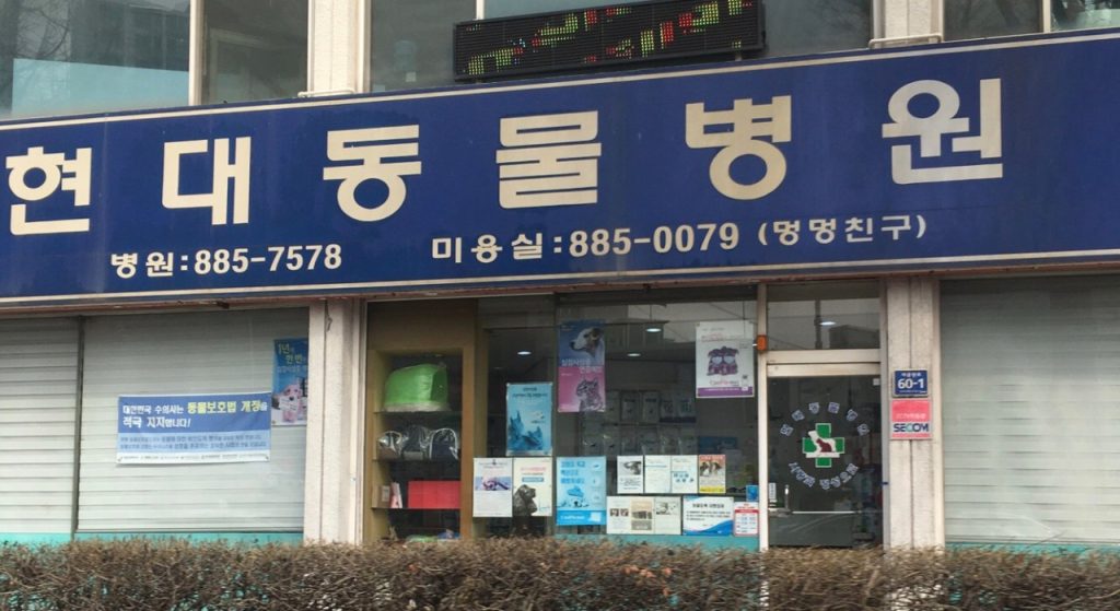 현대동물병원 사진 1