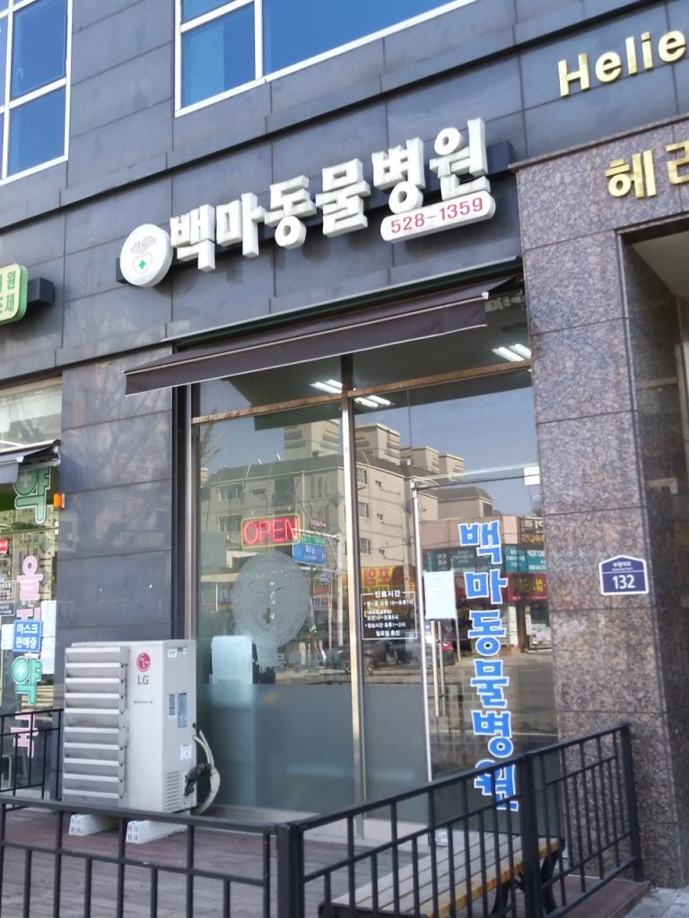 백마동물병원 사진 1