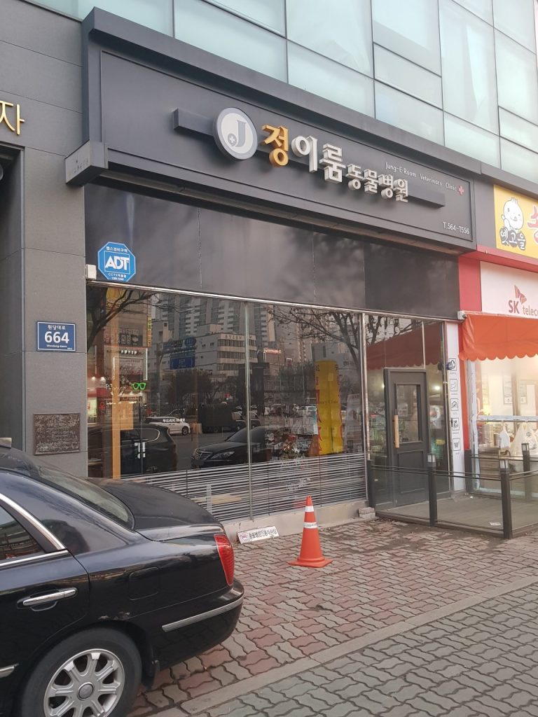 정이룸동물병원 사진 1