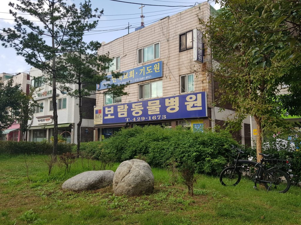 보람동물병원 사진 1