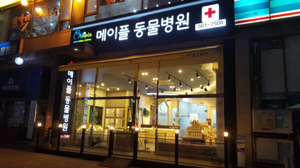 메이플동물병원 사진 1