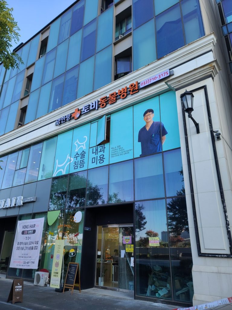 토비동물병원 사진 1