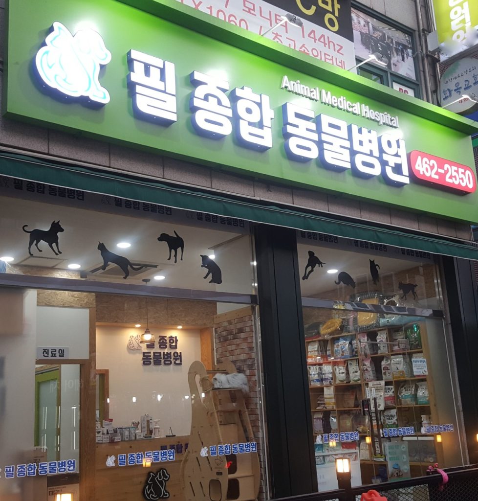 필종합동물병원 사진 1