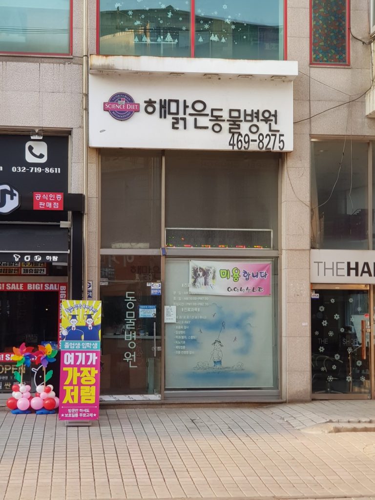 해맑은동물병원 사진 1
