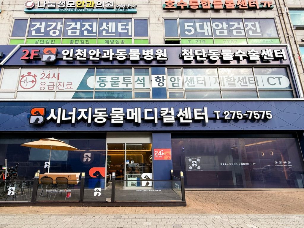 시너지동물메디컬센터 사진 1