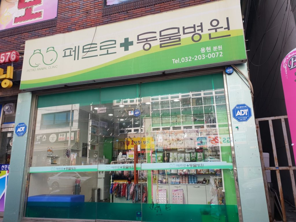 페트로동물병원용현분원 사진 1