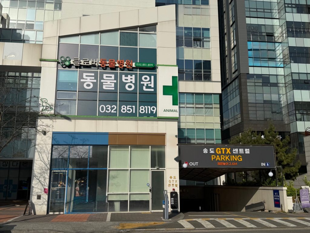 송도클로버동물병원 사진 1