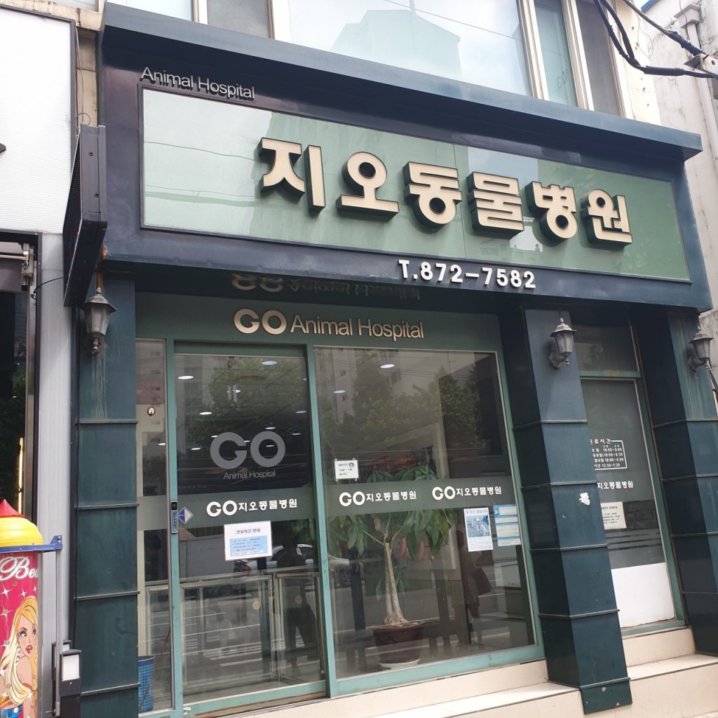 지오동물병원 사진 1