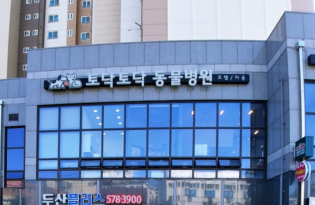 토닥토닥동물병원 사진 1