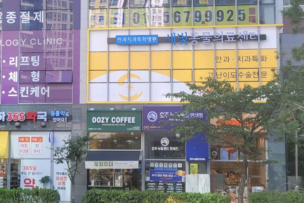 새빛동물의료센터 사진 1