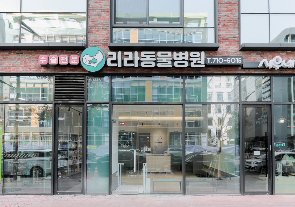 리라동물병원 사진 1