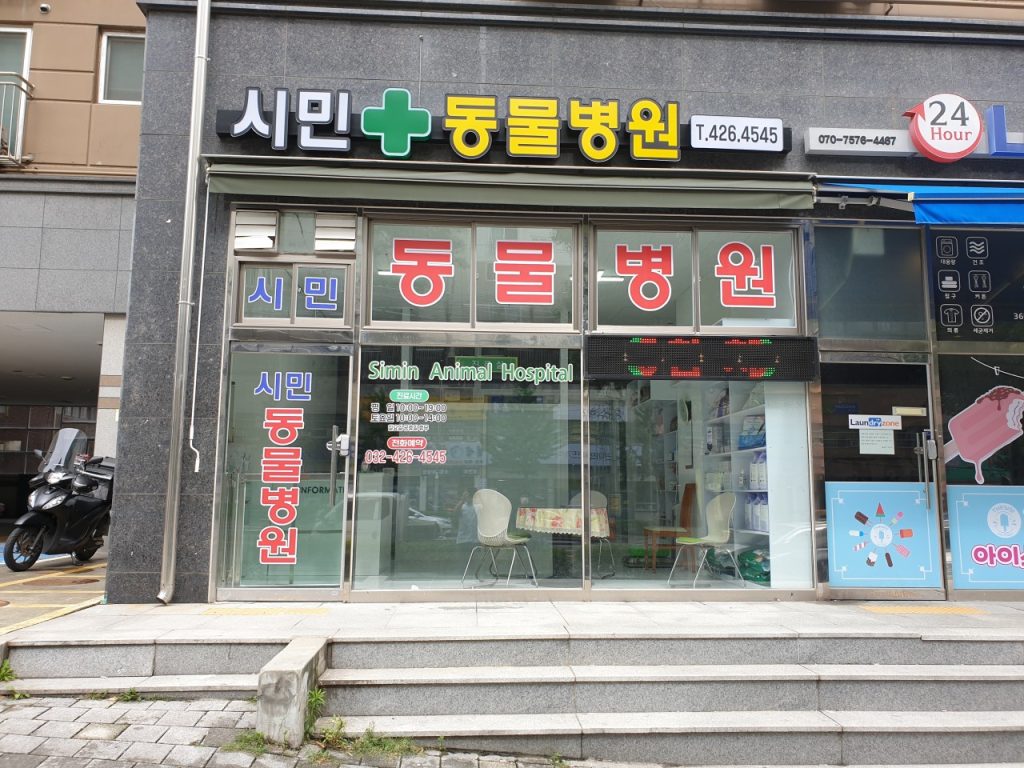 시민동물병원 사진 1