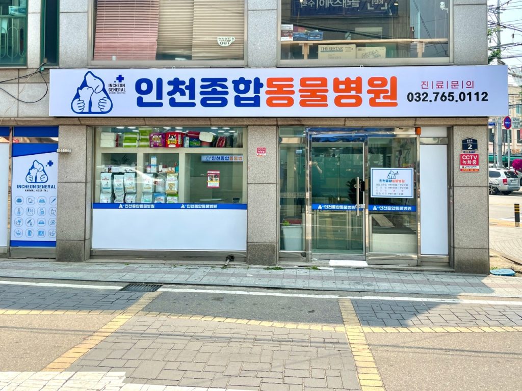 인천종합동물병원 사진 1