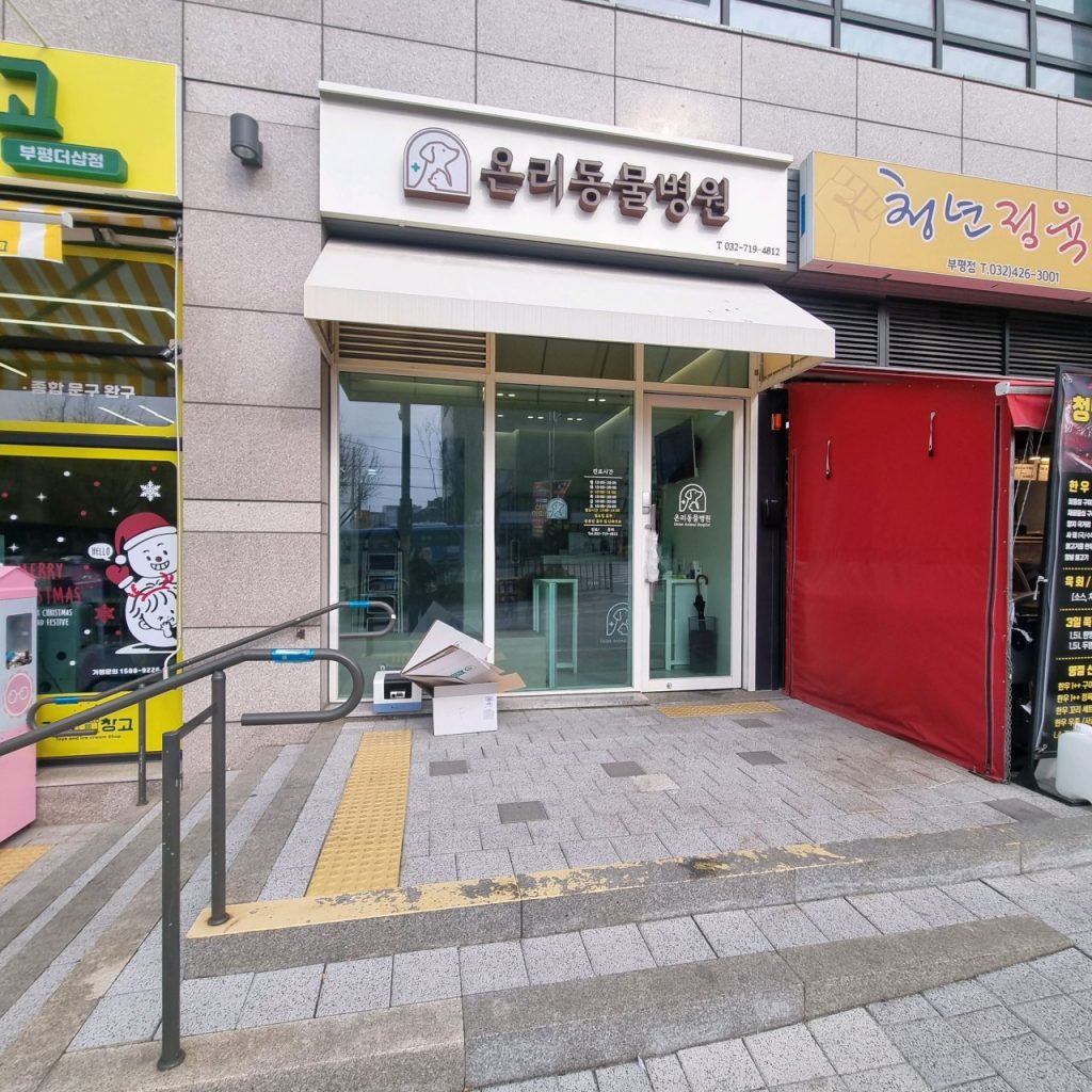 온리동물병원 사진 1