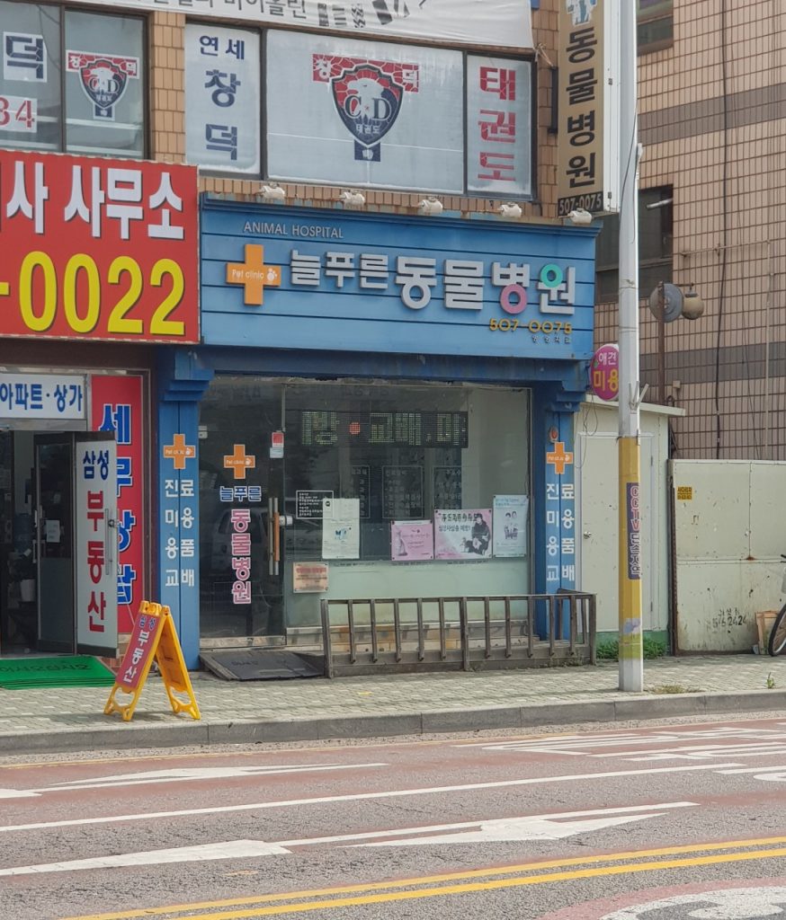 늘푸른동물병원 사진 1