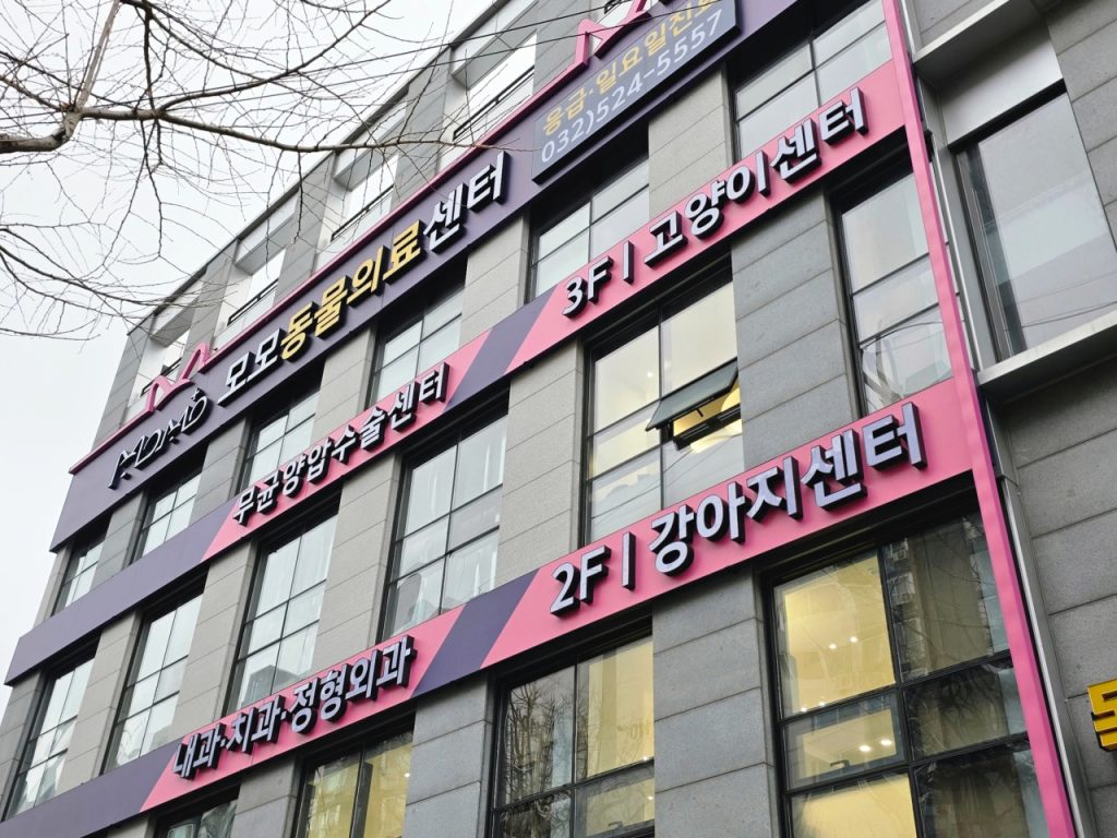 모모동물의료센터 사진 1