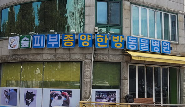 숲피부종양한방동물병원 사진 1