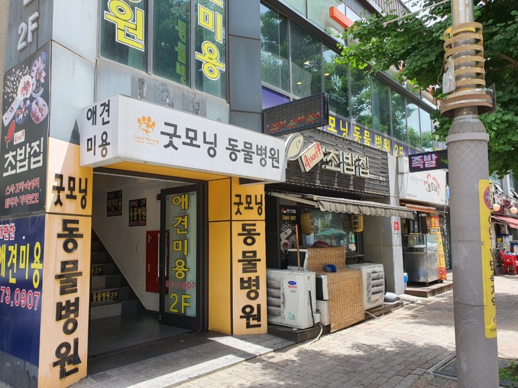 굿모닝동물병원 사진 1