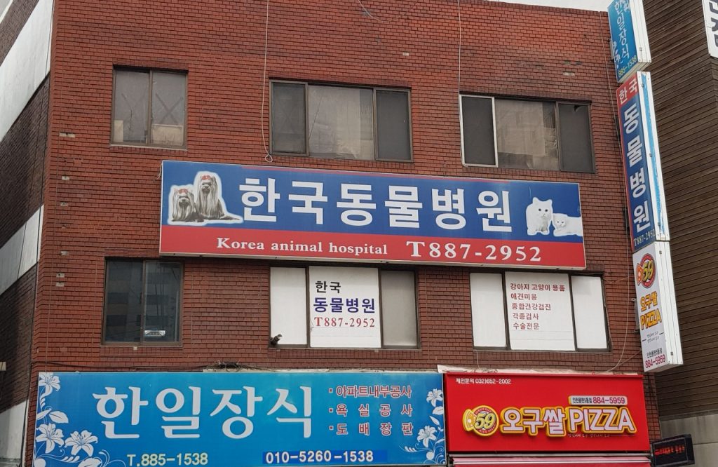 한국동물병원 사진 1