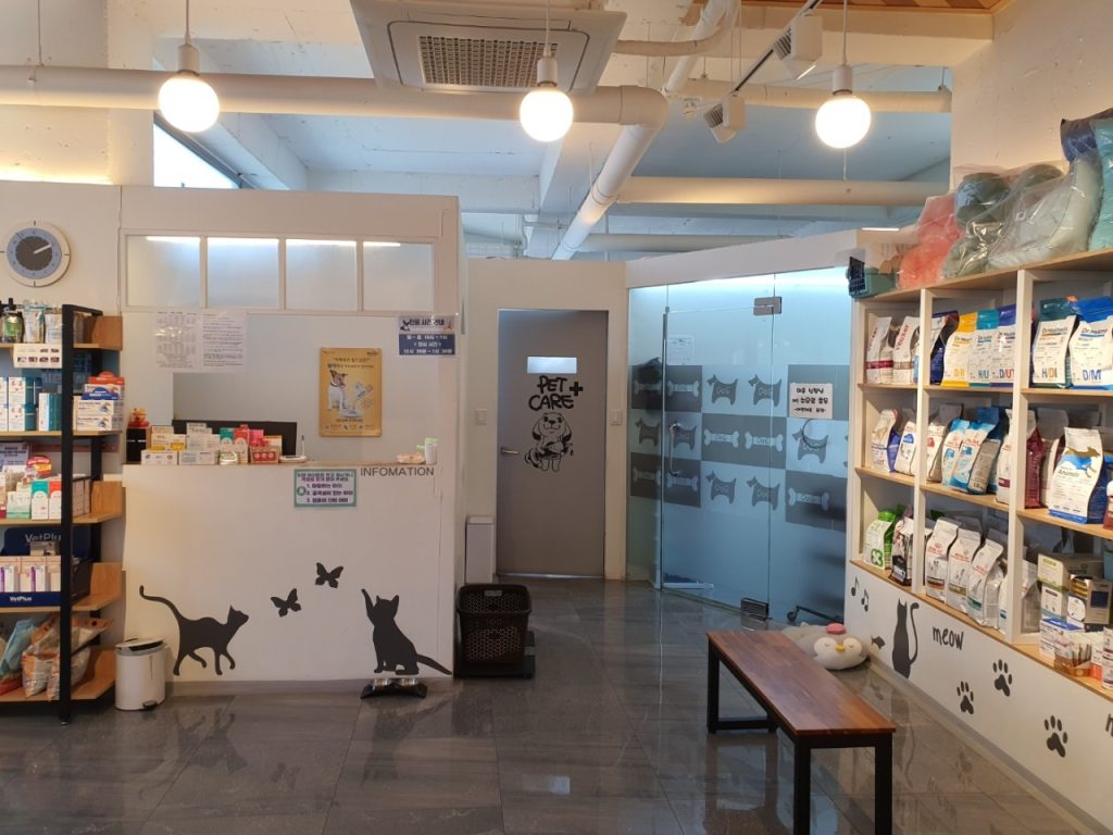 바른동물병원 사진 1