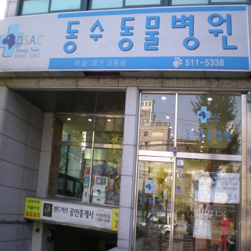 동수동물병원 사진 1