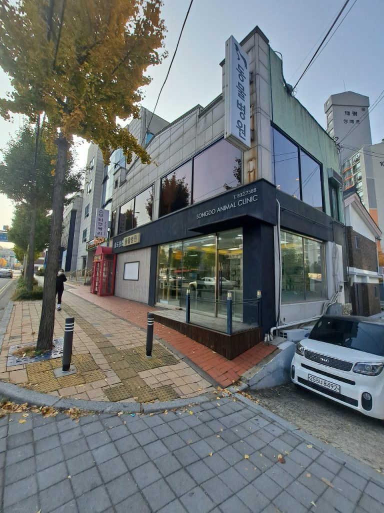 송도종합동물병원 사진 1