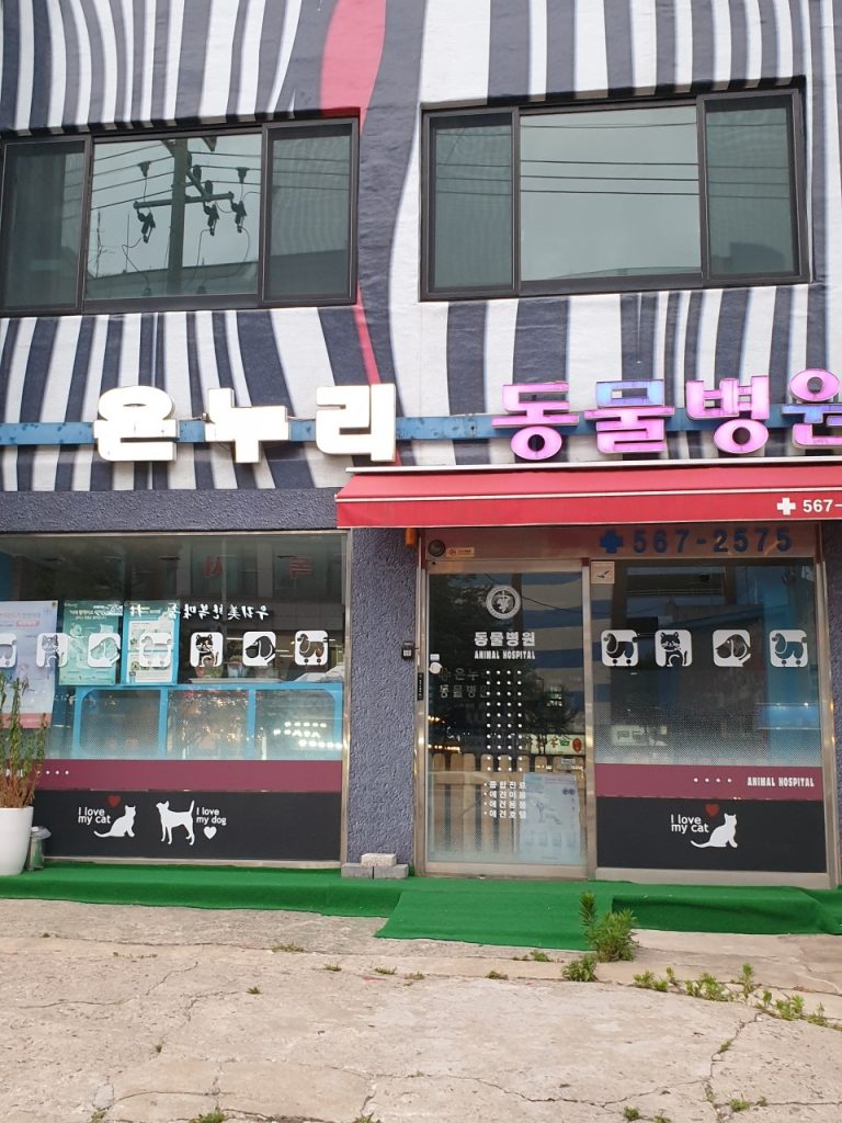 온누리동물병원 사진 1