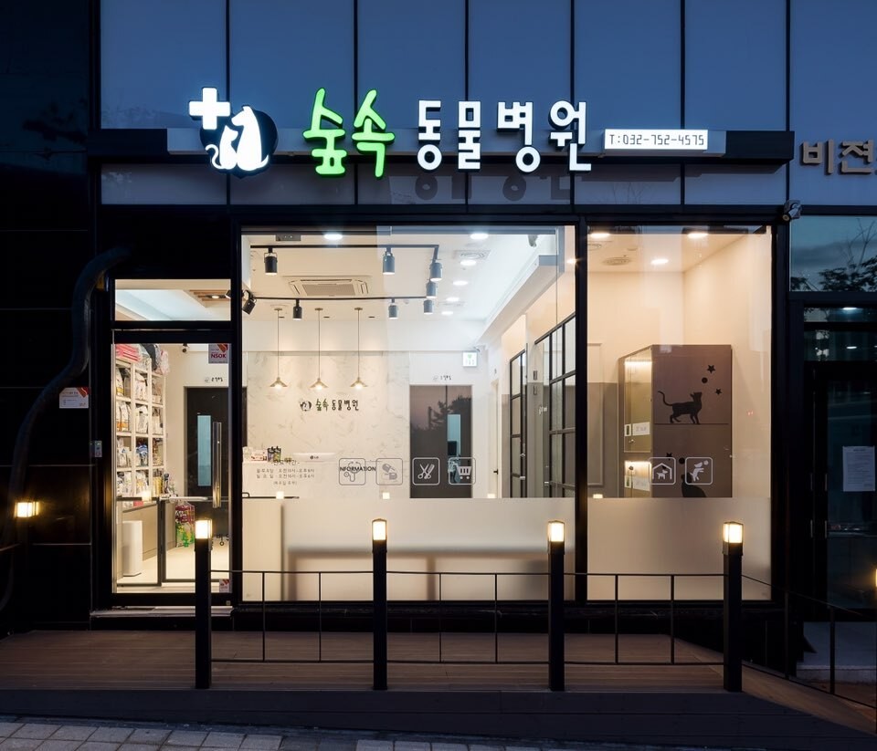 숲속동물병원 사진 1