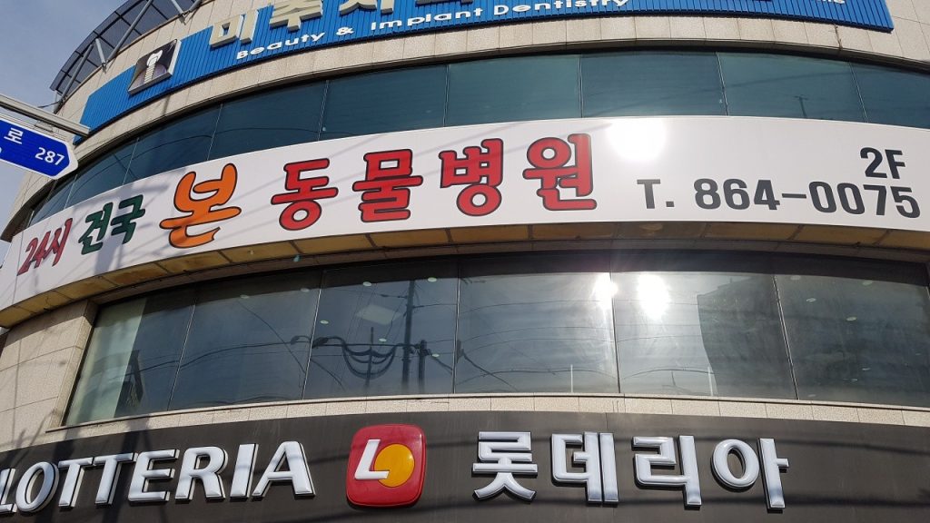 24시건국본동물병원 사진 1